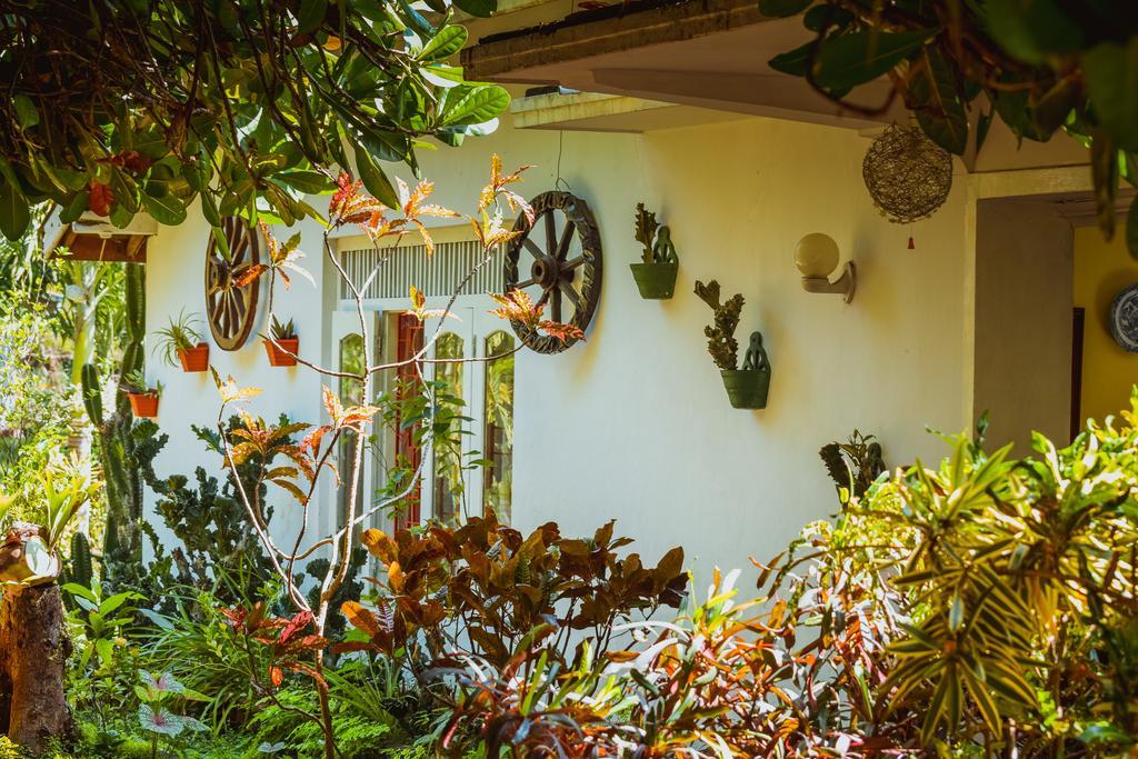 Shammie Guest House Hikkaduwa Extérieur photo